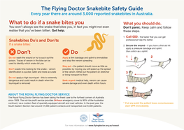What to Do If a Snake Bites You Don't Do the Flying Doctor Snakebite Safety Guide