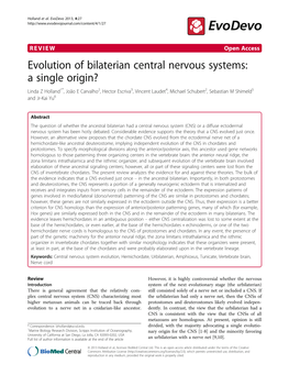 Evolution of Bilaterian Central Nervous Systems