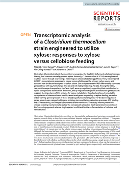 Transcriptomic Analysis of a Clostridium Thermocellum Strain Engineered to Utilize Xylose: Responses to Xylose Versus Cellobiose Feeding Albert E