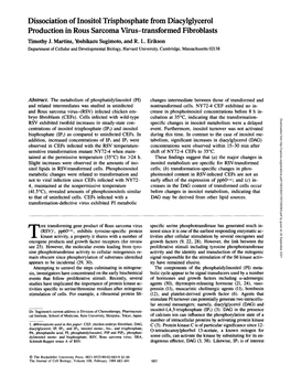 Dissociation of Inositol Trisphosphate from Diacylglycerol Production in Rous Sarcoma Virus-Transformed Fibroblasts Timothy J