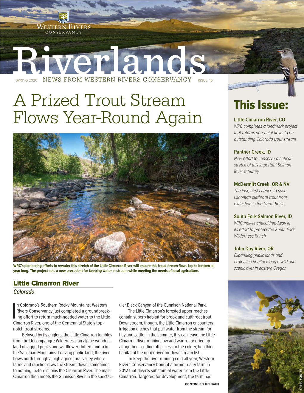 A Prized Trout Stream Flows Year-Round Again