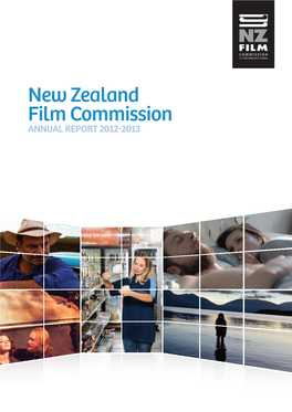 NZFC Annual Report 2012/13