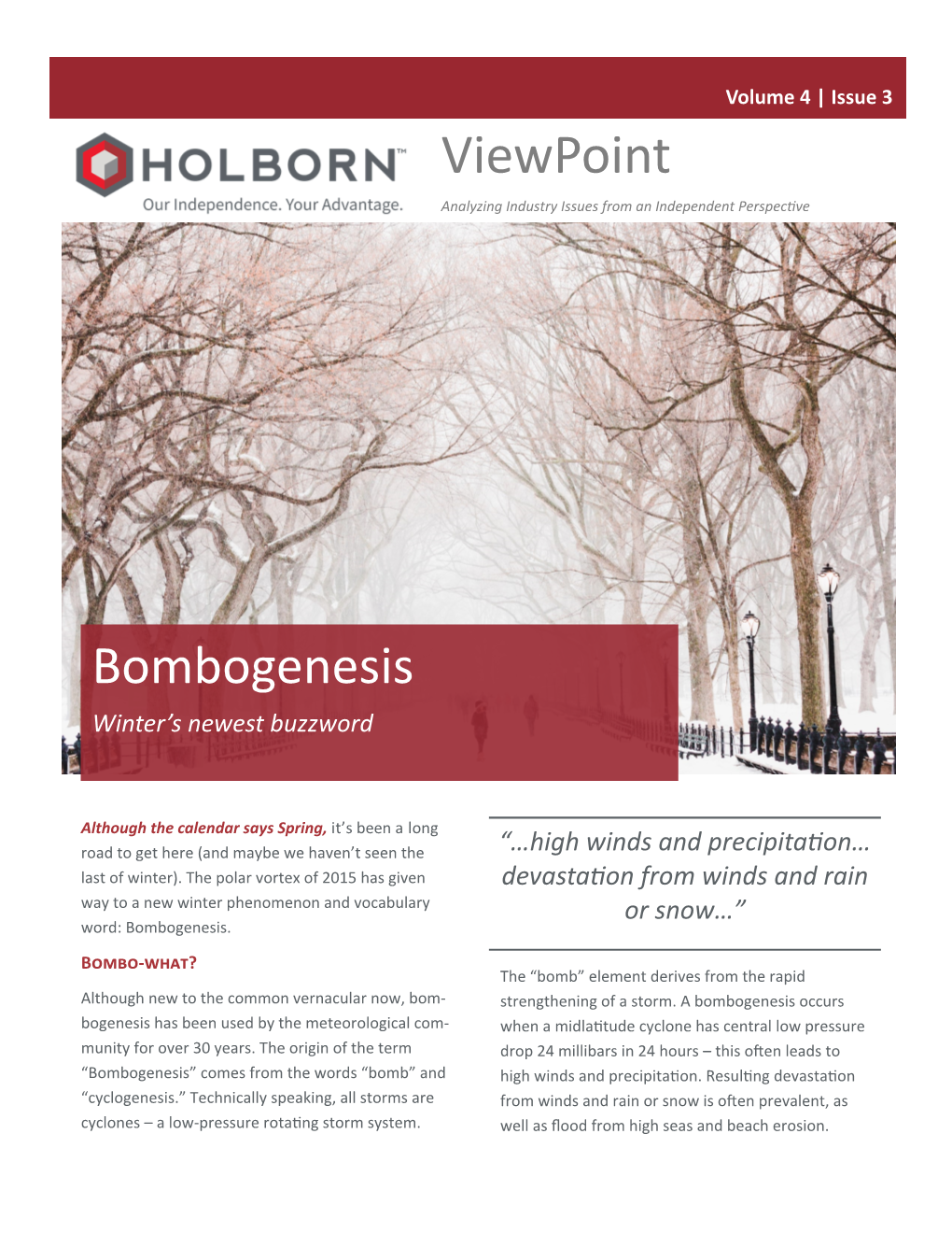 Viewpoint Bombogenisis V4i3