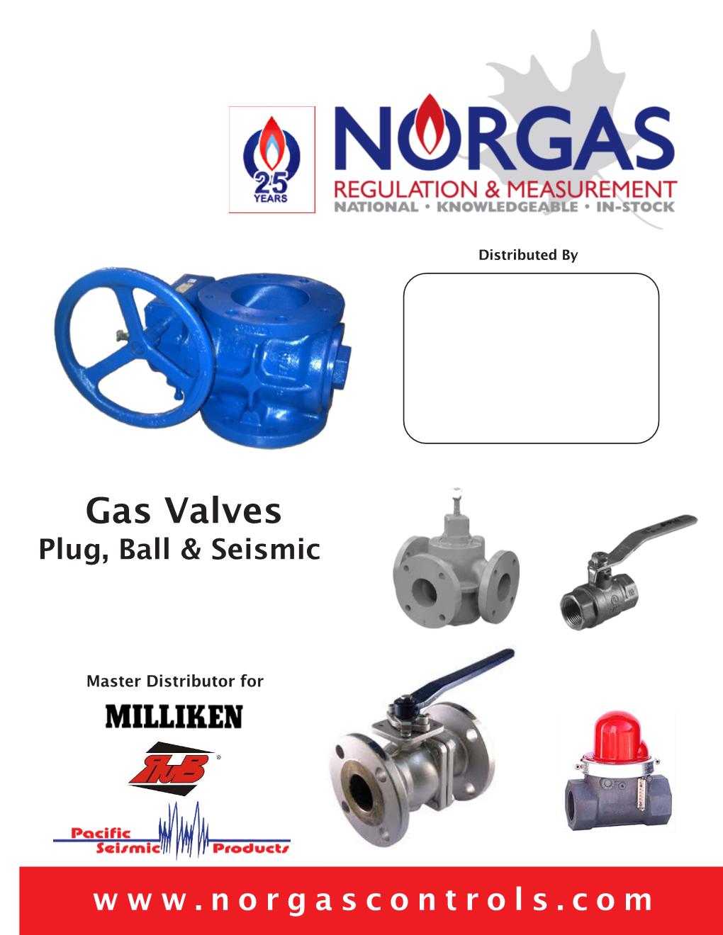 Gas Valves Plug, Ball & Seismic