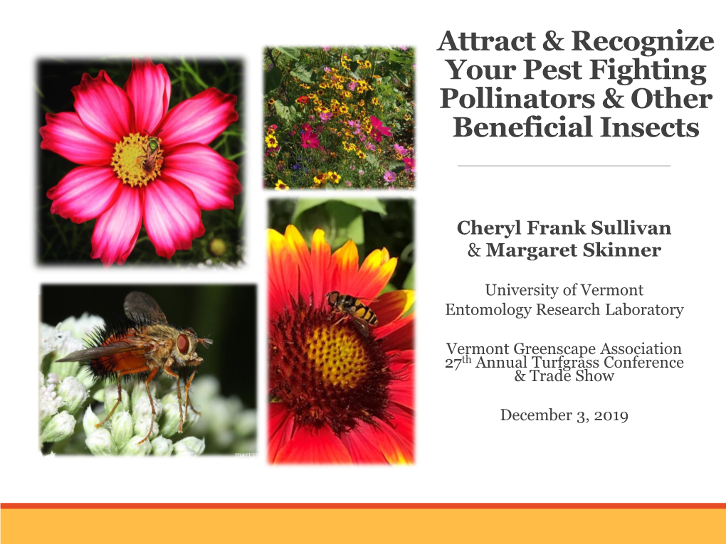 Attract & Recognize Your Pest Fighting Pollinators & Other