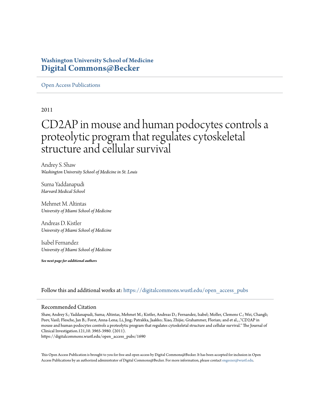 CD2AP in Mouse and Human Podocytes Controls a Proteolytic Program That Regulates Cytoskeletal Structure and Cellular Survival Andrey S