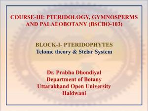 BLOCK-I- PTERIDOPHYTES Telome Theory & Stelar System
