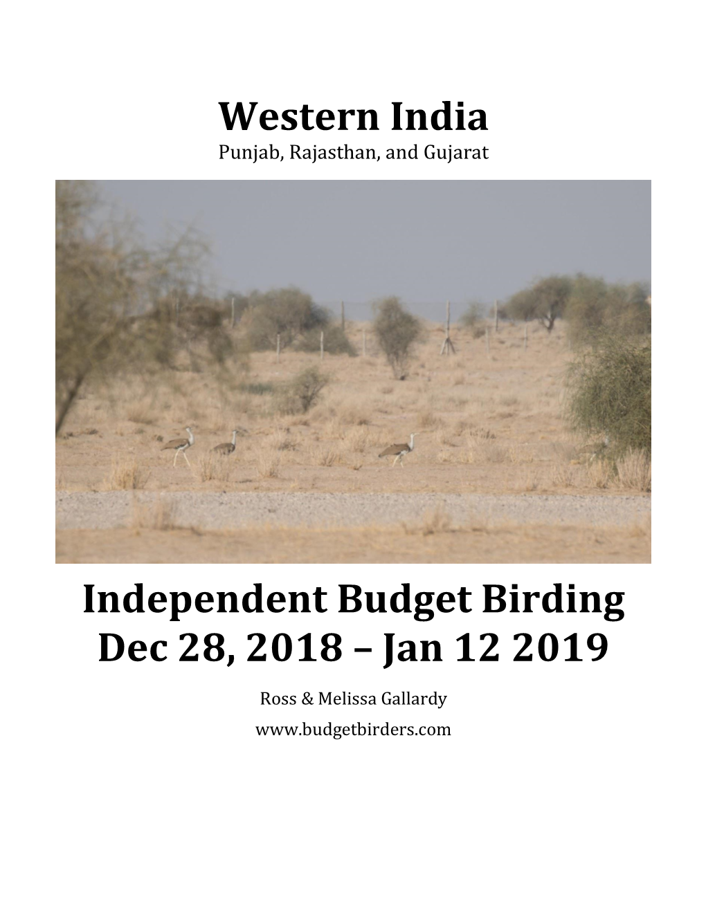 Western India Independent Budget Birding Dec 28, 2018 – Jan 12 2019