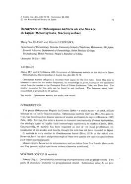 Occurrence of Ophionyssus Natricis on Zoo Snakes in Japan(Mesostigmata,Macronyssidae)