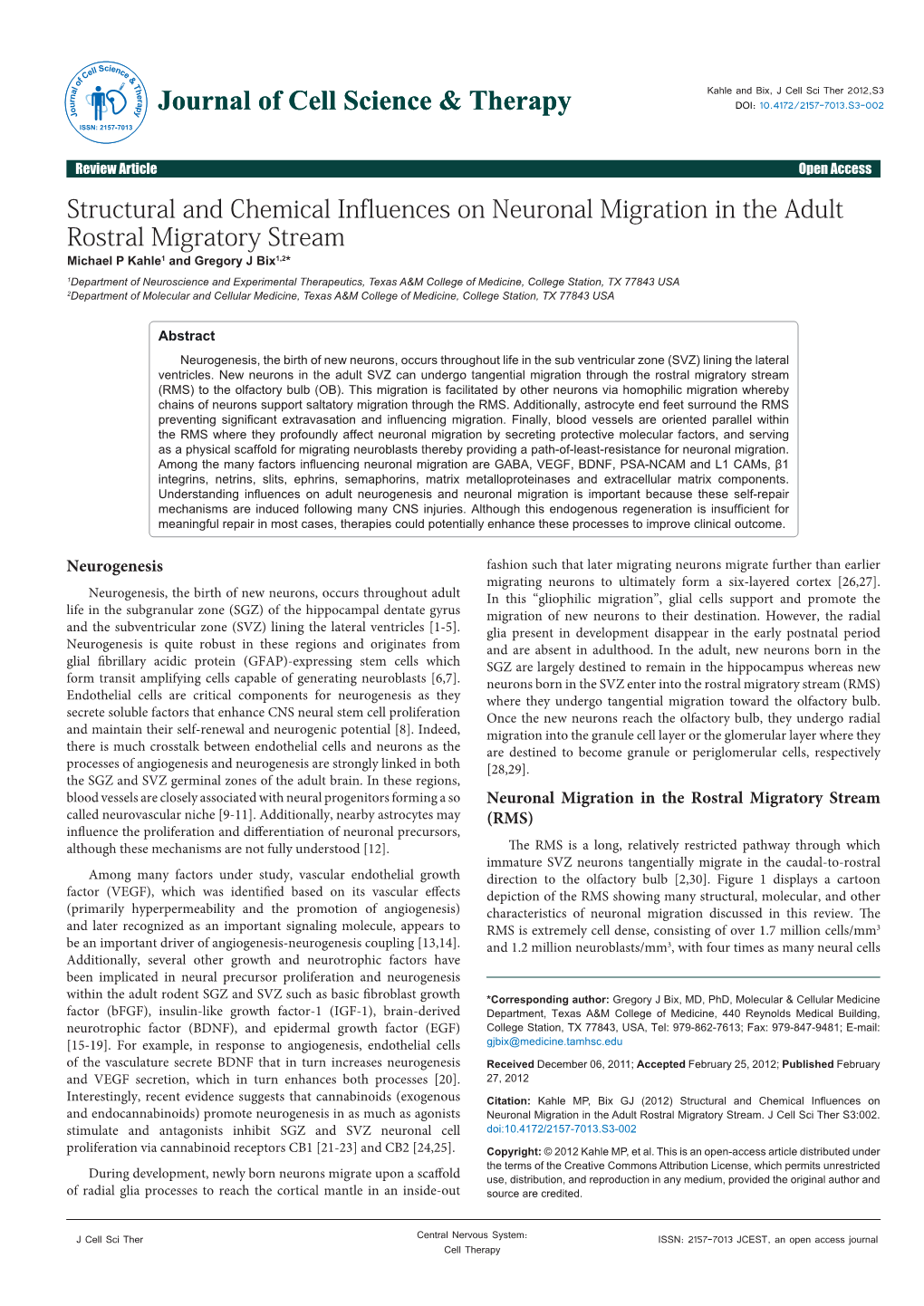 Structural and Chemical Influences on Neuronal Migration in the Adult Rostral Migratory Stream