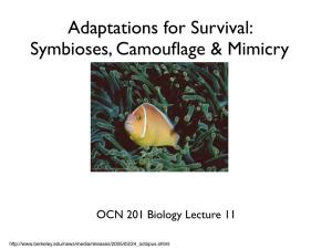 Adaptations for Survival: Symbioses, Camouflage & Mimicry