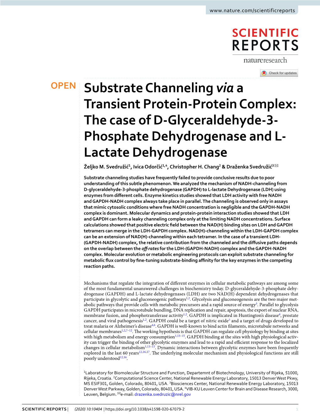 Substrate Channeling Via a Transient Protein-Protein Complex: the Case of D-Glyceraldehyde-3- Phosphate Dehydrogenase and L- Lactate Dehydrogenase Željko M