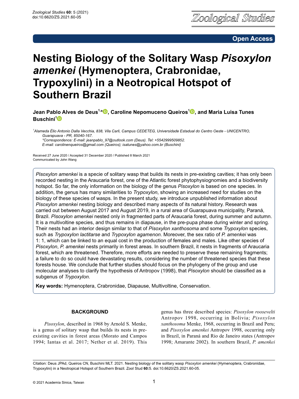 Hymenoptera, Crabronidae, Trypoxylini) in a Neotropical Hotspot of Southern Brazil