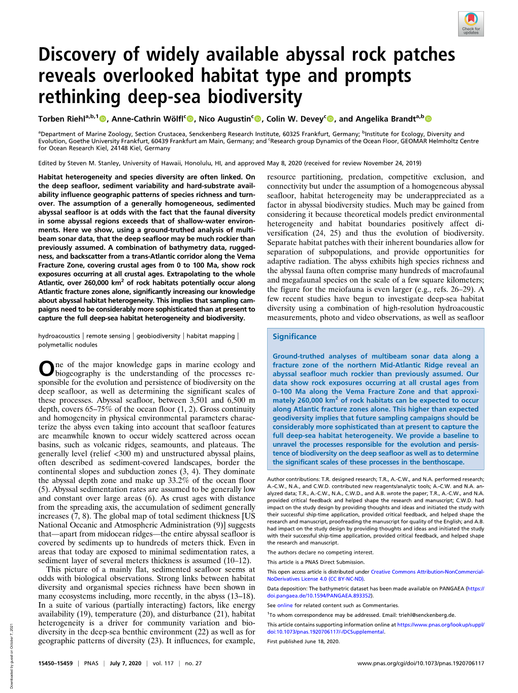 Discovery of Widely Available Abyssal Rock Patches Reveals Overlooked Habitat Type and Prompts Rethinking Deep-Sea Biodiversity