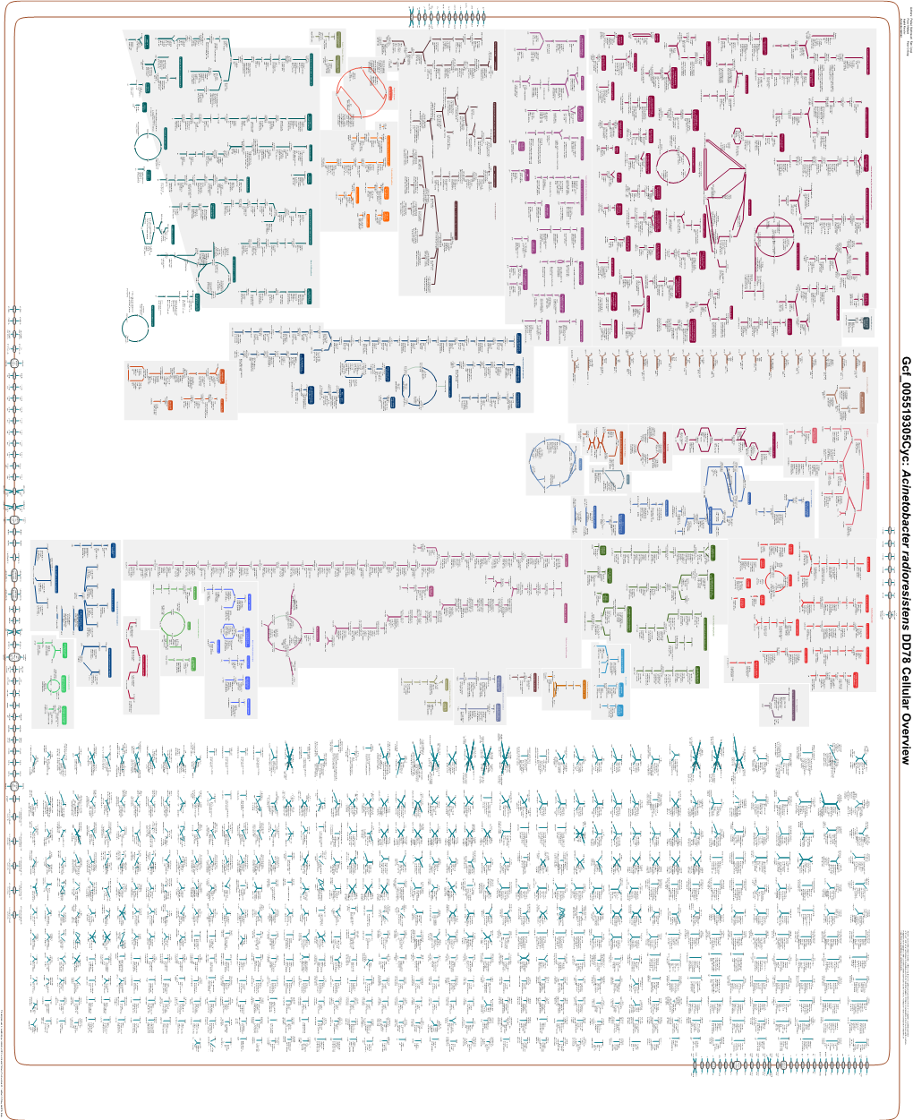 Generated by SRI International Pathway Tools Version 25.0, Authors S