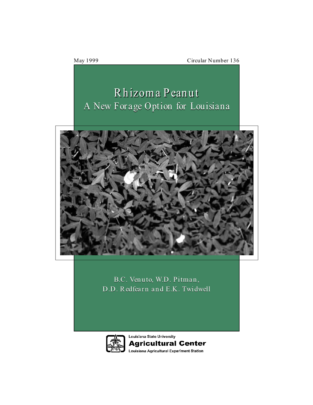 Rhizoma Peanutpeanut a New Forage Option for Louisiana