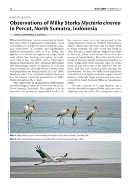 Observations of Milky Storks Mycteria Cinerea in Percut, North Sumatra, Indonesia CHRIS R