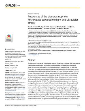 Responses of the Picoprasinophyte Micromonas Commoda to Light and Ultraviolet Stress