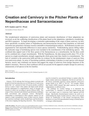 Creation and Carnivory in the Pitcher Plants of Nepenthaceae and Sarraceniaceae