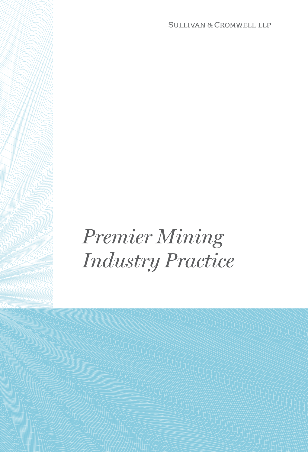Premier Mining Industry Practice “They Go to Great Lengths to Understand Your Industry, Business and Specific Objectives