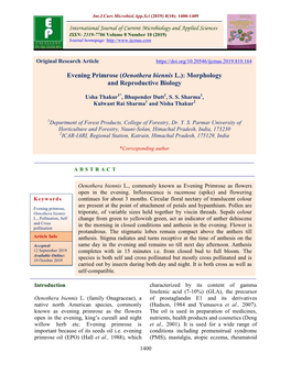 Evening Primrose (Oenothera Biennis L.): Morphology and Reproductive Biology