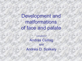 Development and Malformations of Face and Palate
