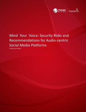 Security Risks and Recommendations for Audio-Centric