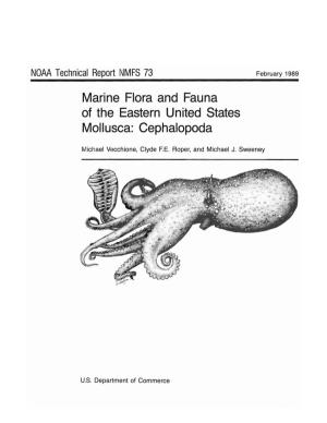 Marine Flora and Fauna of the Eastern United States Mollusca: Cephalopoda