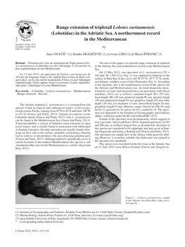 Range Extension of Tripletail Lobotes Surinamensis (Lobotidae) in the Adriatic Sea