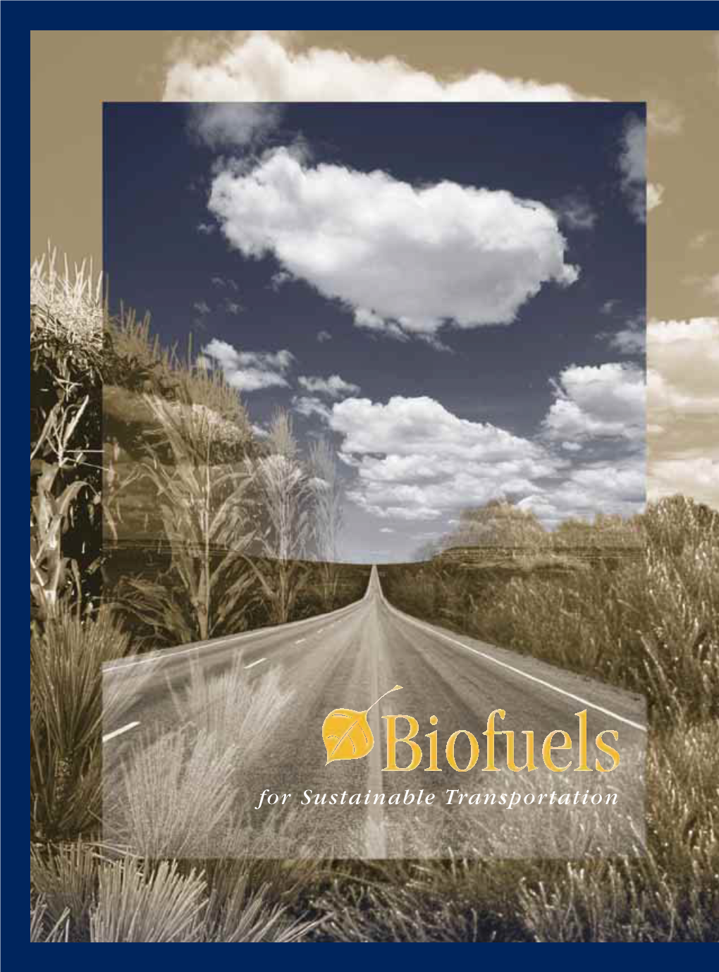 Biofuels for Sustainable Transportation