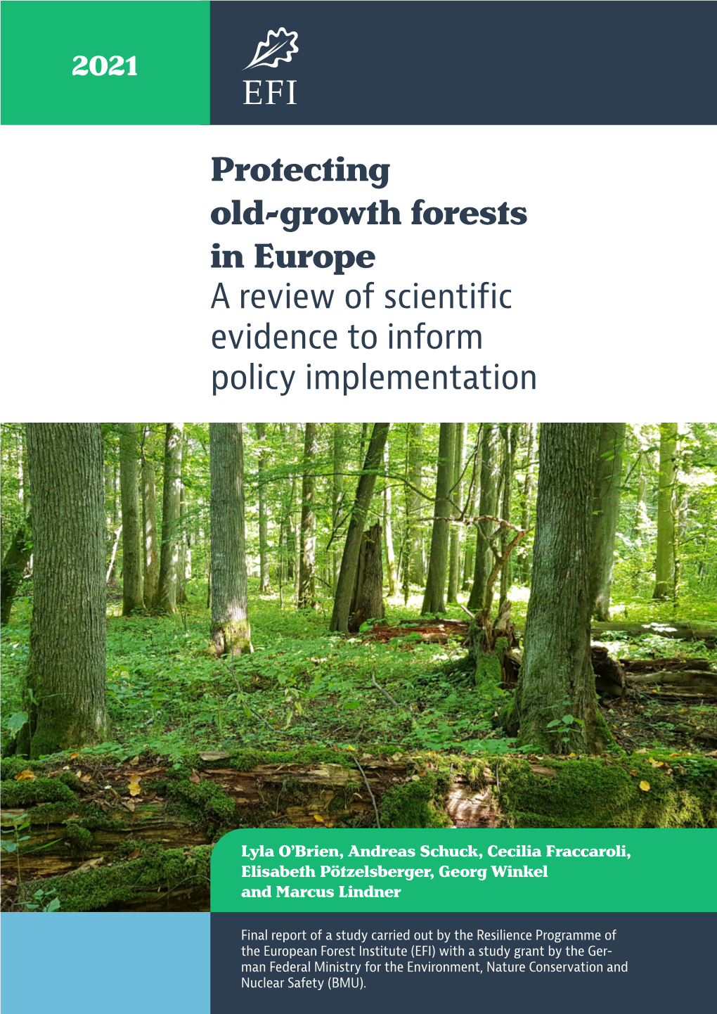 Protecting Old-Growth Forests in Europe a Review of Scientific Evidence to Inform Policy Implementation