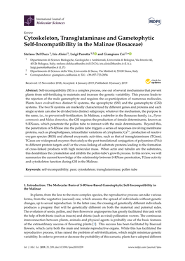 Cytoskeleton, Transglutaminase and Gametophytic Self-Incompatibility in the Malinae (Rosaceae)