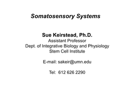 Somatosensory Systems
