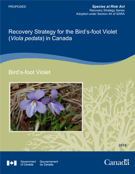 Bird's-Foot Violet (Viola Pedata) Optimal Microhabitat Characteristics in Ontario Tallgrass Prairie Remnants