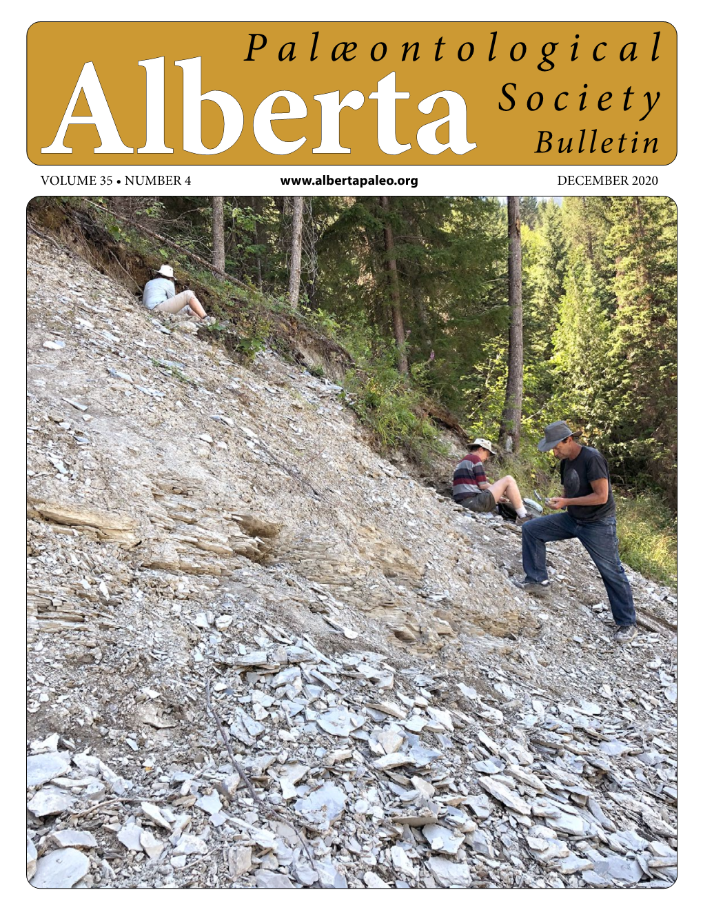 Bulletin Albertavolume 35 • NUMBER 4 DECEMBER 2020 ALBERTA PALAEONTOLOGICAL SOCIETY