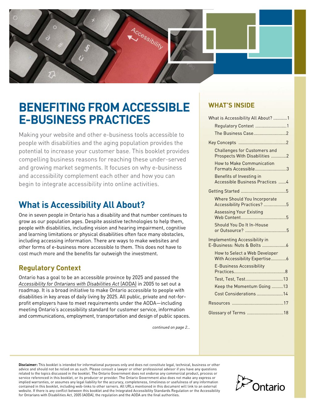 Benefitting from Accessible E-Business Practices