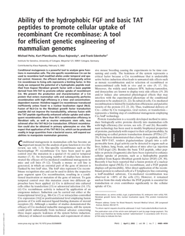 Ability of the Hydrophobic FGF and Basic TAT Peptides To