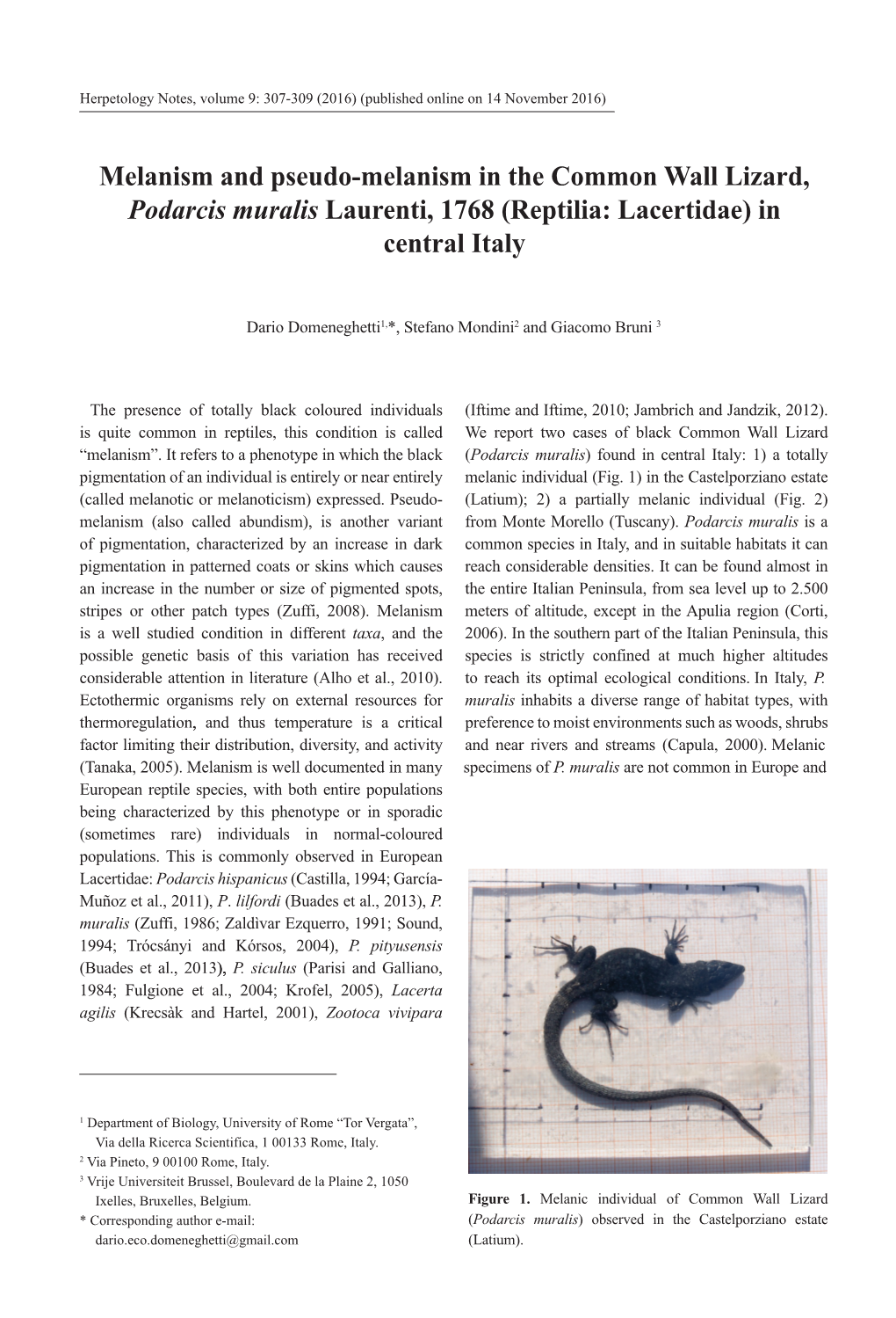 Melanism and Pseudo-Melanism in the Common Wall Lizard, Podarcis Muralis Laurenti, 1768 (Reptilia: Lacertidae) in Central Italy