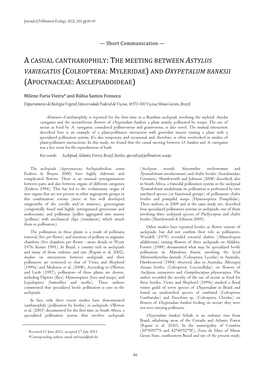 A Casual Cantharophily: the Meeting Between Astylus