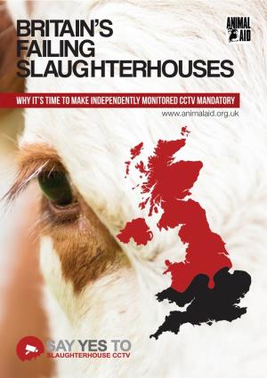 Britain's Failing Slaughterhouses