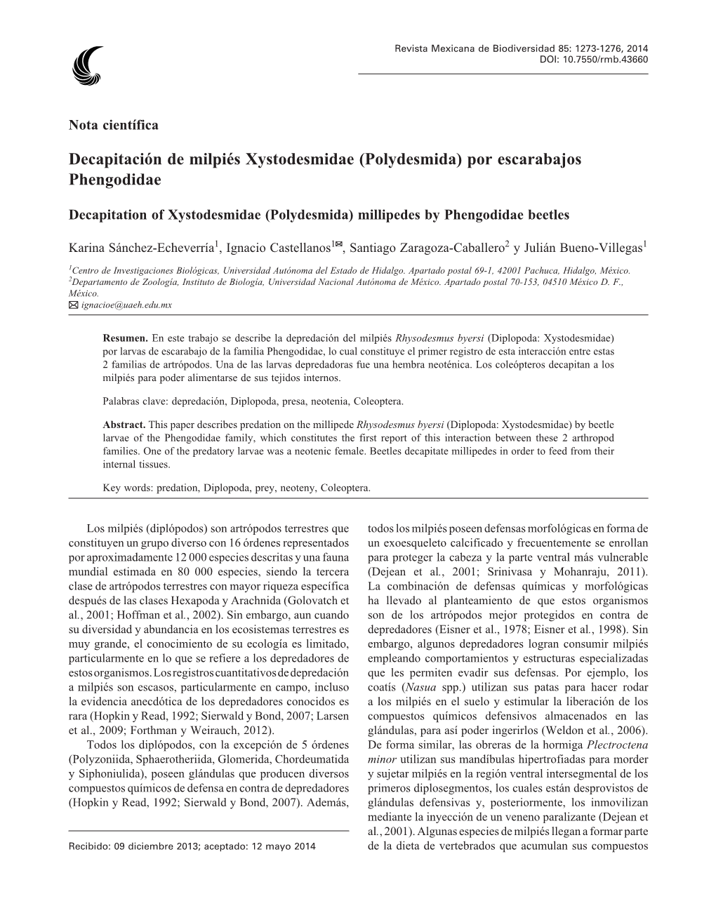 Decapitación De Milpiés Xystodesmidae (Polydesmida) Por Escarabajos Phengodidae