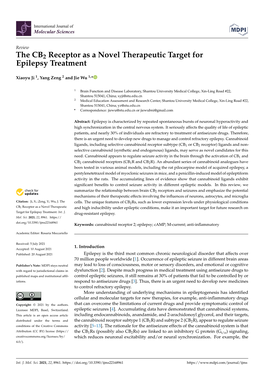 The CB2 Receptor As a Novel Therapeutic Target for Epilepsy Treatment