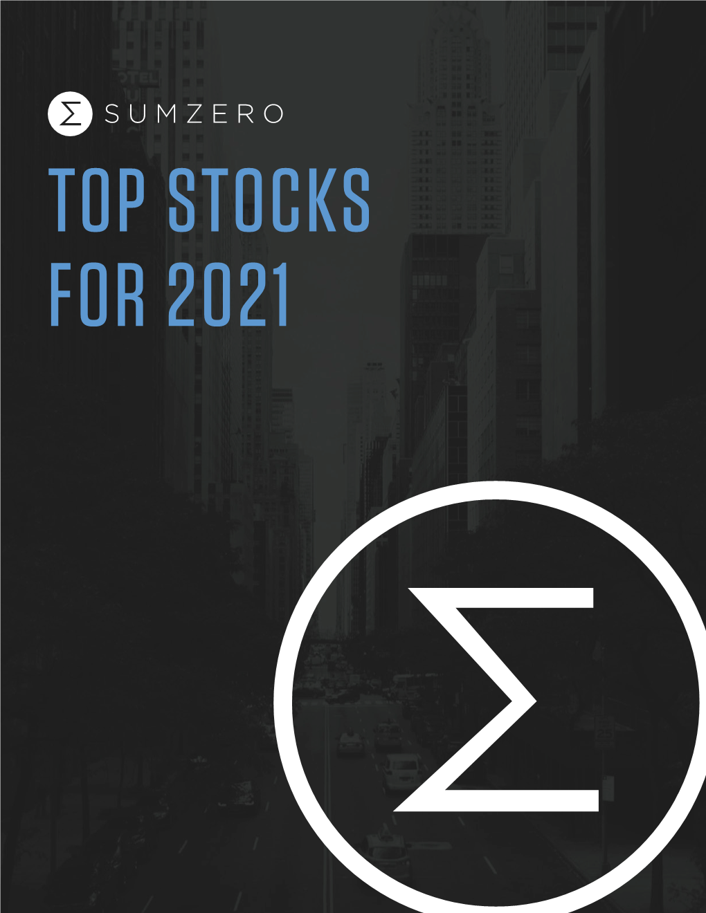 Sumzero Top Stocks for 2021