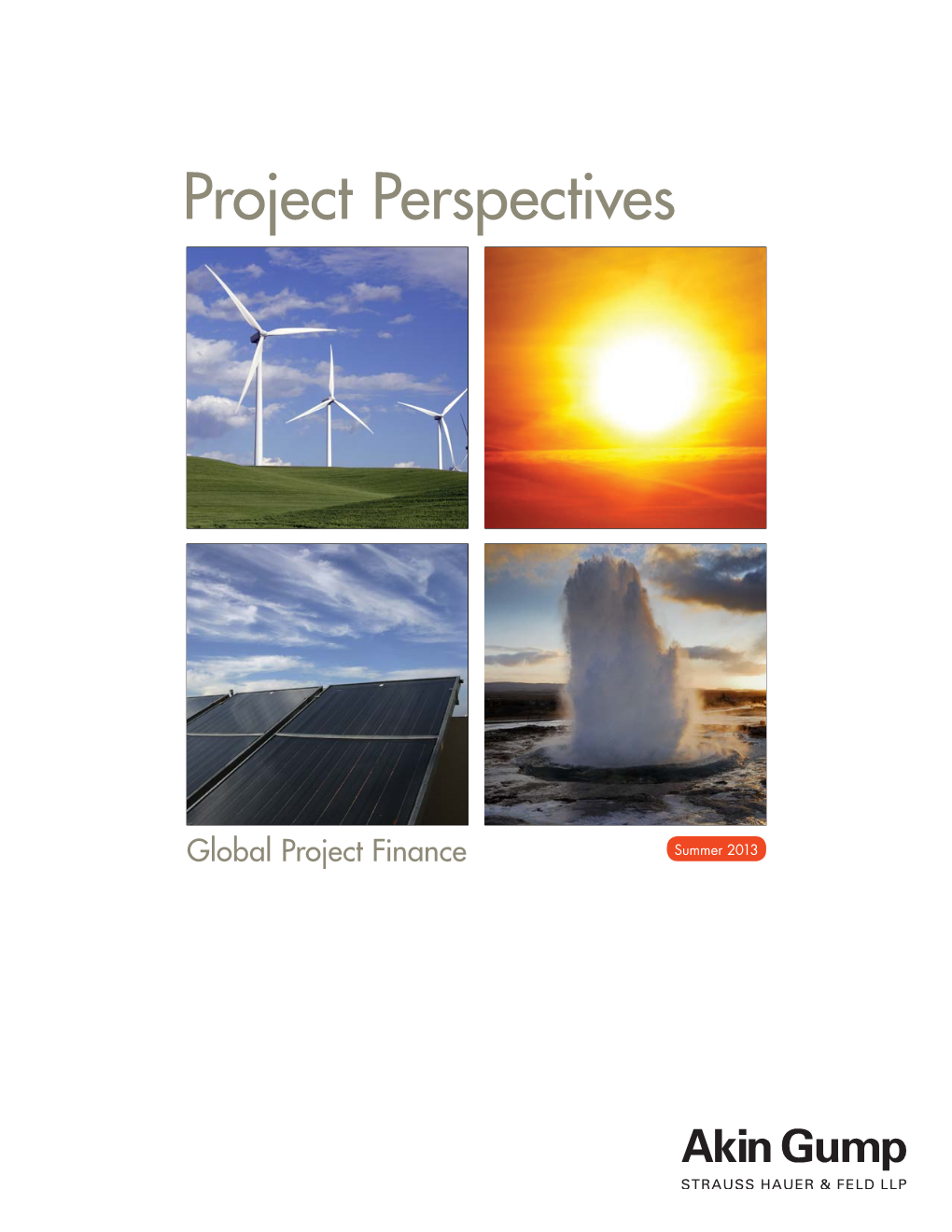 Project Perspectives