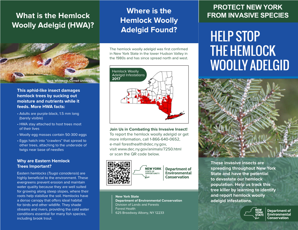 Hemlock Woolly Adelgid Brochure
