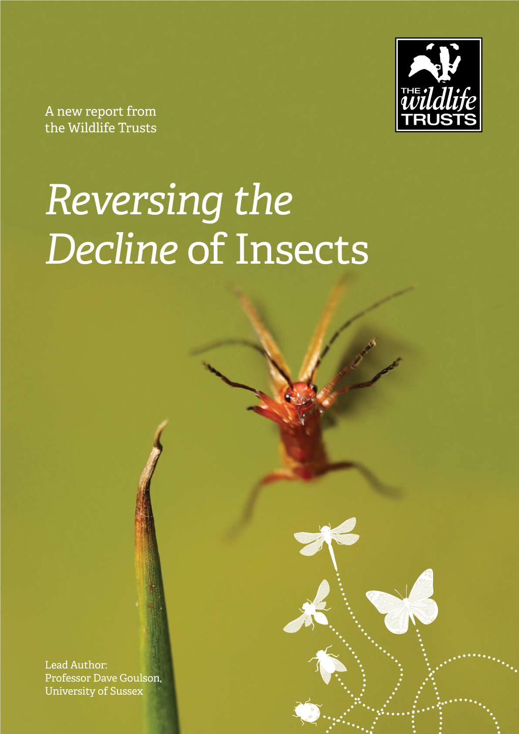 Reversing the Decline of Insects