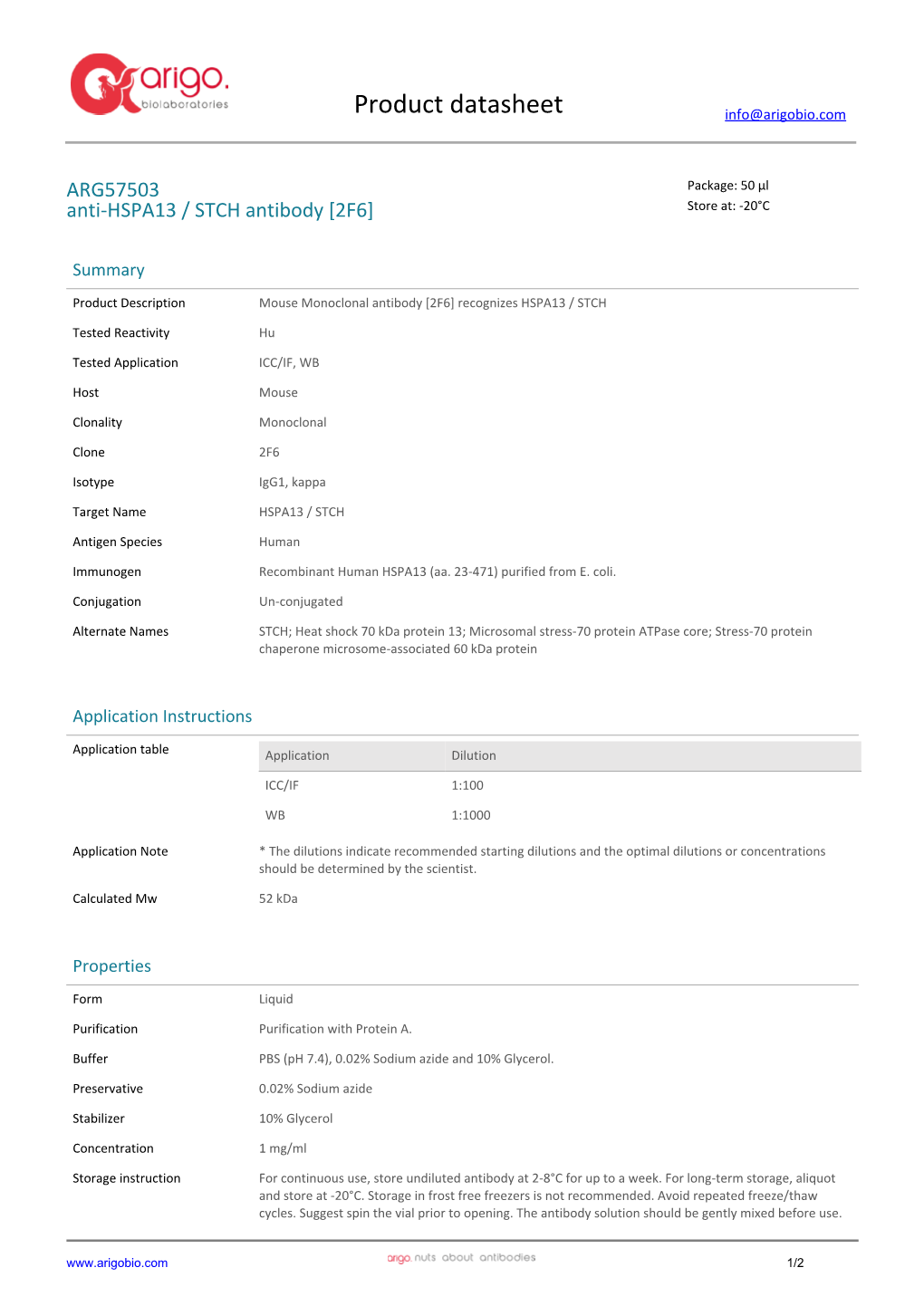 Anti-HSPA13 / STCH Antibody [2F6] (ARG57503)