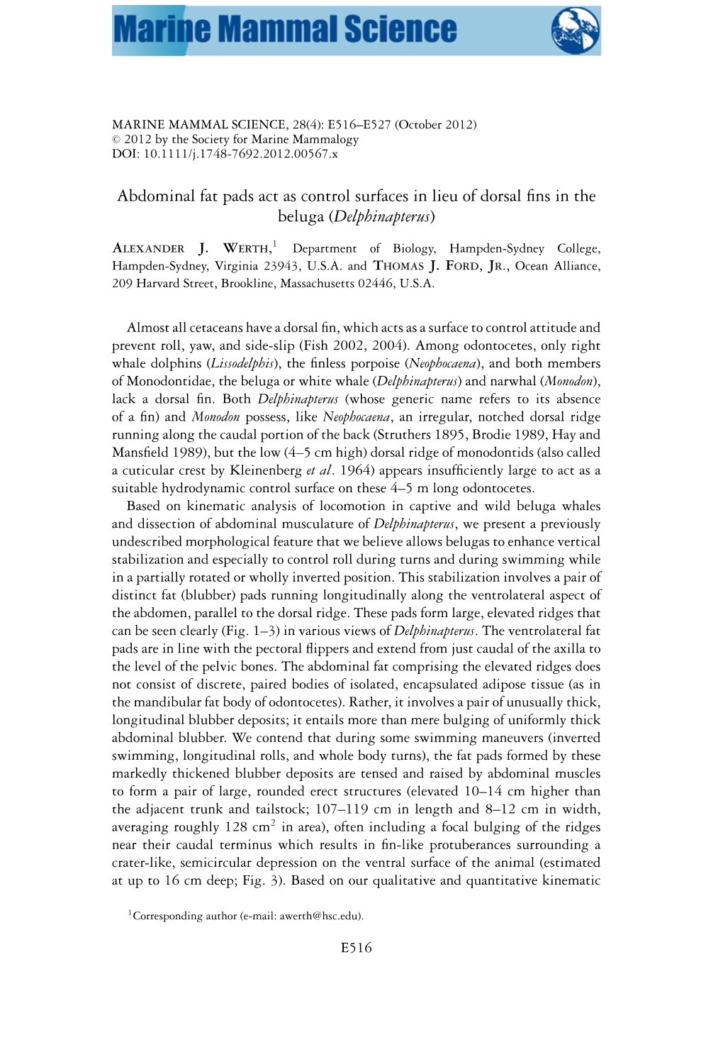 Abdominal Fat Pads Act As Control Surfaces in Lieu of Dorsal ﬁns in the Beluga (Delphinapterus)