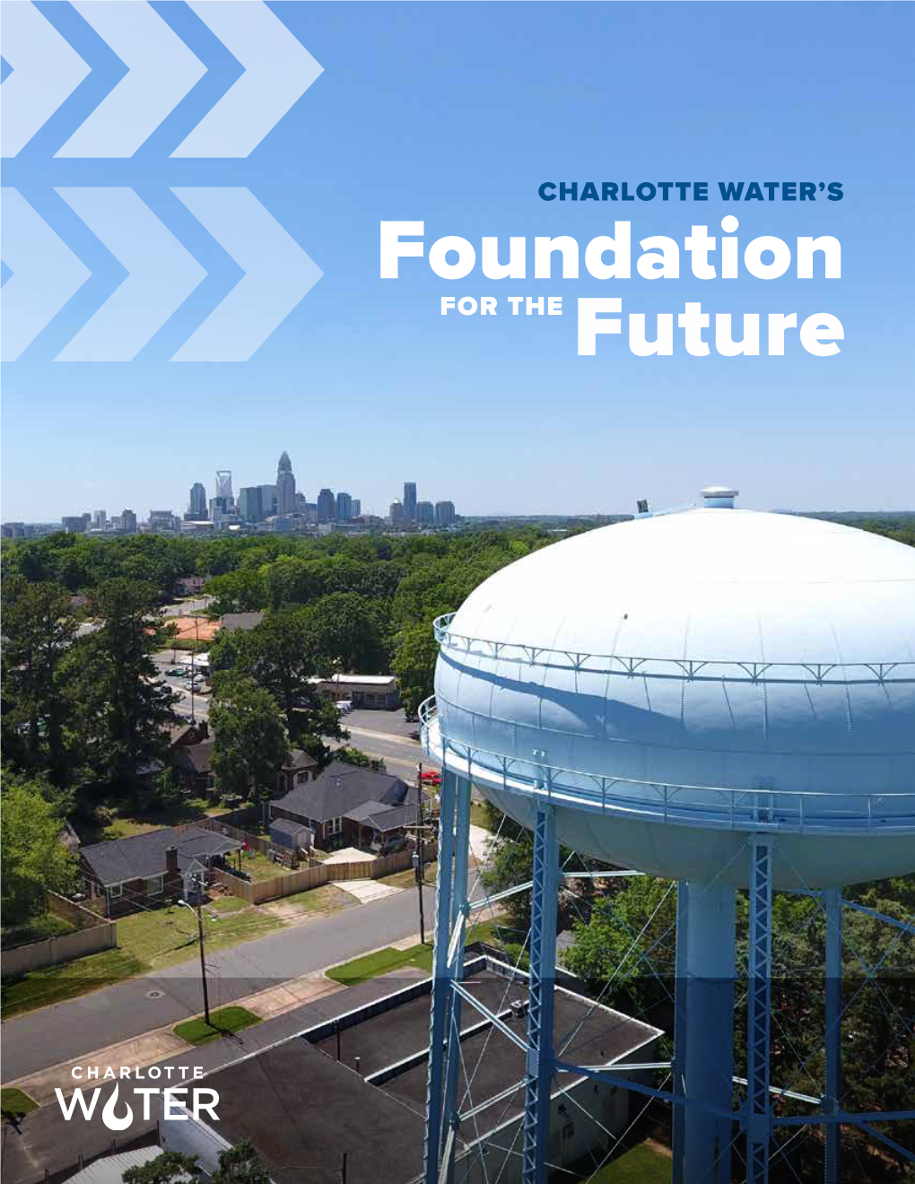 Foundation for the Future 01 Message from Interim Director Contents 02 Introduction
