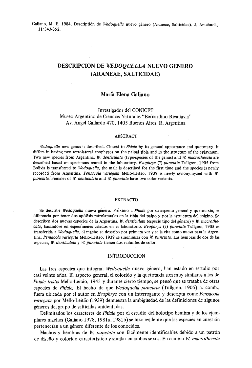 DESCRIPCION DE WEDOQUELLA NUEVO GENER O (ARANEAE, SALTICIDAE ) Maria Elena Galiano Investigador Del CONICET Museo Argentino De C